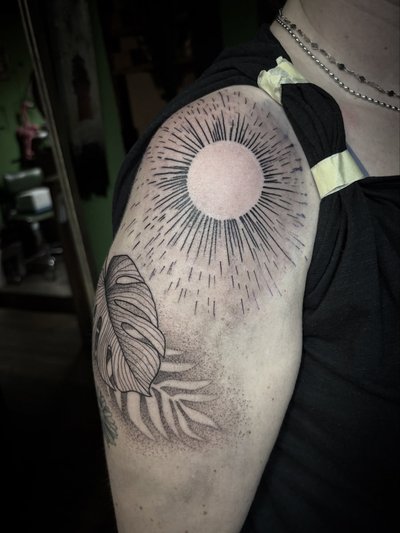 Sonne, Monstera & Palme