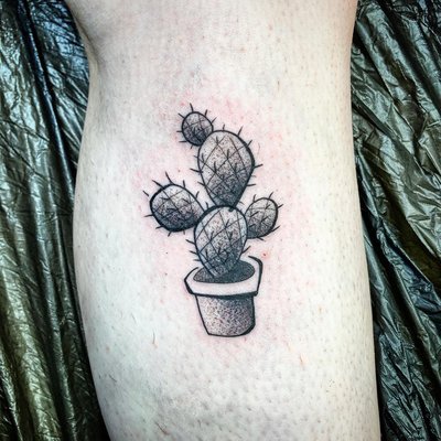 🌵🖤 🌵