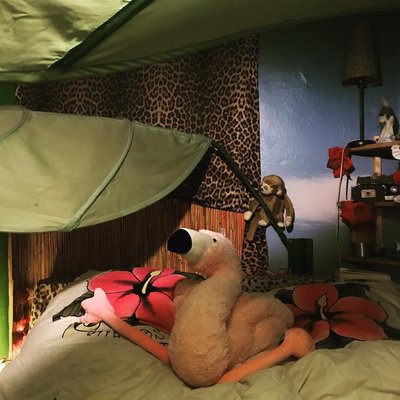 Wenn mein süßer mir das bett macht und harald so süß platziert geht mir das herz auf💕💕💕💕💕💕💕💕💕