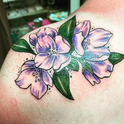 Moin meine zuckerschnuten.