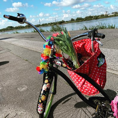 Moin zuckerschnuten, kurzes päuschen aufm deich gemacht.