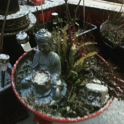 # Ich fühl mich immer wie ein kleines kind wenn der erste Schnee fällt 🥰gehts euch auch so?