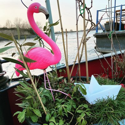 Moin meine zuckerschnuten.