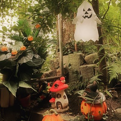 🎃 🎃🎃moin meine lieben,endlich hatte ich zeit für unsere herbstdeko.