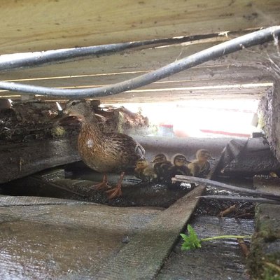 Tattoo Artwork Hamburg