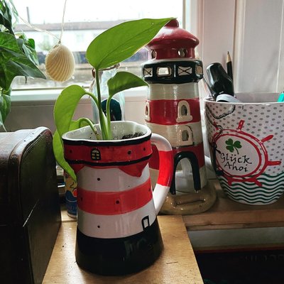 Moin meine zuckerschnuten,das ist Fräulein maier,michas büropflanze.