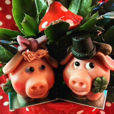 So meine zuckerschnuten.