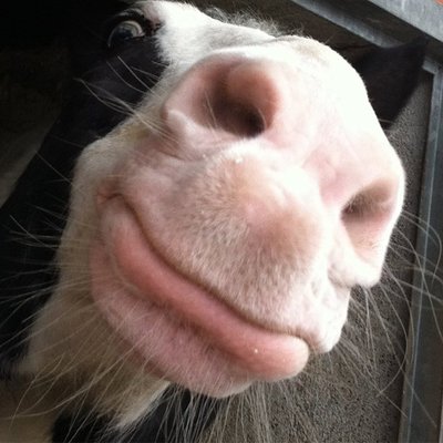 Tattoo Artwork Hamburg