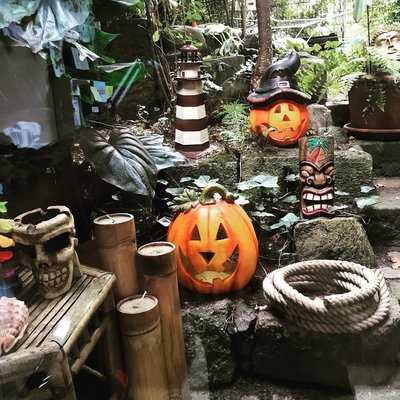 Moinsen der herbst hat einzug gehalten 🎃🎃🎃🎃🎃🎃