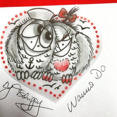 Diese beiden Vögel suchen ein Zuhause,bitte gerne im Laden melden ♥️♥️♥️