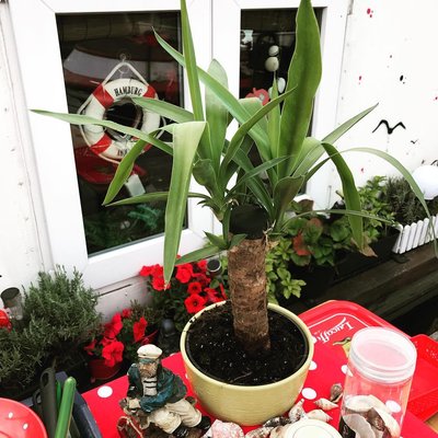 👏👏👏♥️♥️♥️♥️