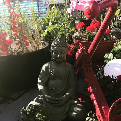 Neuer Mitbewohner 🌺🙏🌺