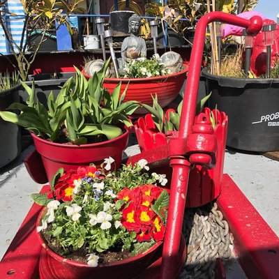 Euch allen einen wunderschönen Sonntag ⚓️🌸⚓️