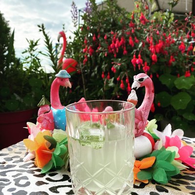 # Moin meine zuckerschnuten.