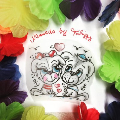 Moinsen die lovedogs suchen n Heimathafen,bei Interesse bitte DM an instagram oder anrufen ♥️♥️♥️