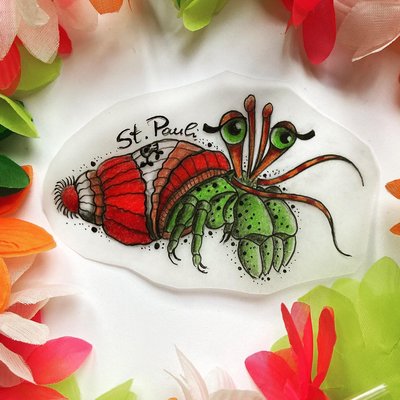 Moin ihr zuckerschnuten,erwin der einsiedlerkrebs sucht n heimathafen,bei Interesse bitte DM an instagram,einen wunderschönen Tag wünschen wir...