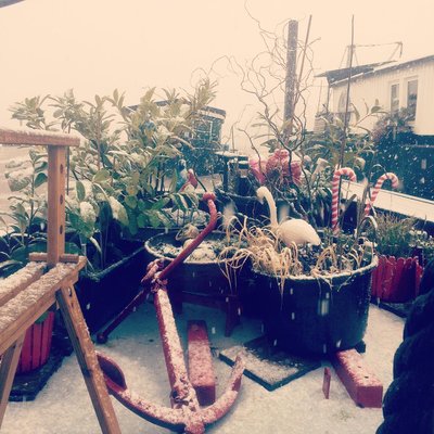 is :o where hoping for