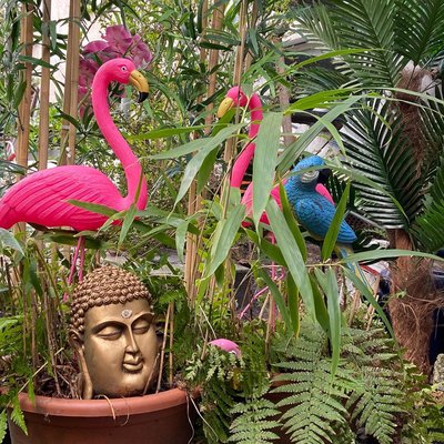 Moin meine lieben, wann wir wirklich wieder öffnen können ist leider noch ungewiss.