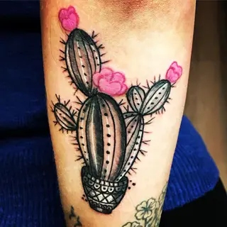 Tattoo von Tschiggy mit einem Kaktus im Bubblegum-Art-Stil