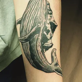 Tattoo von Tschiggy mit einem Wal im Bubblegum-Art-Stil